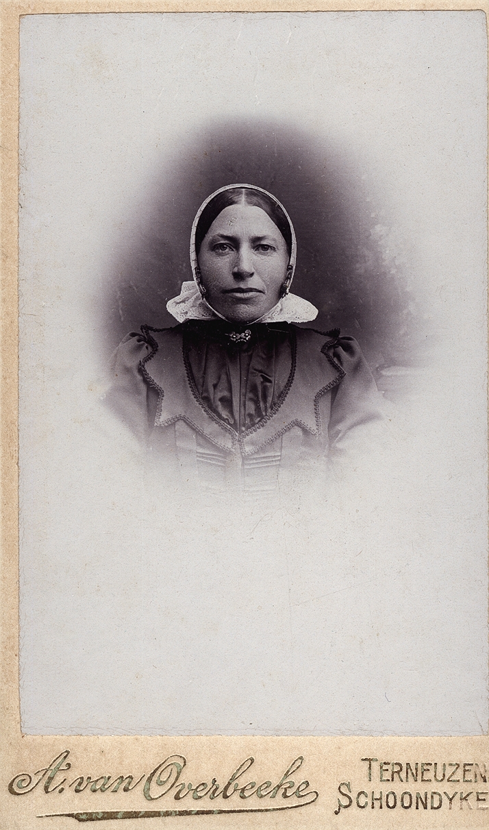 Luteijn1352