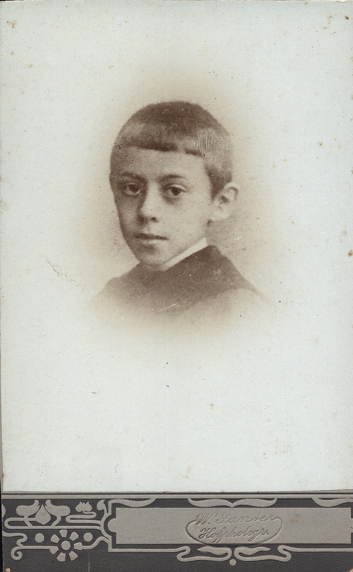 Luteijn1878